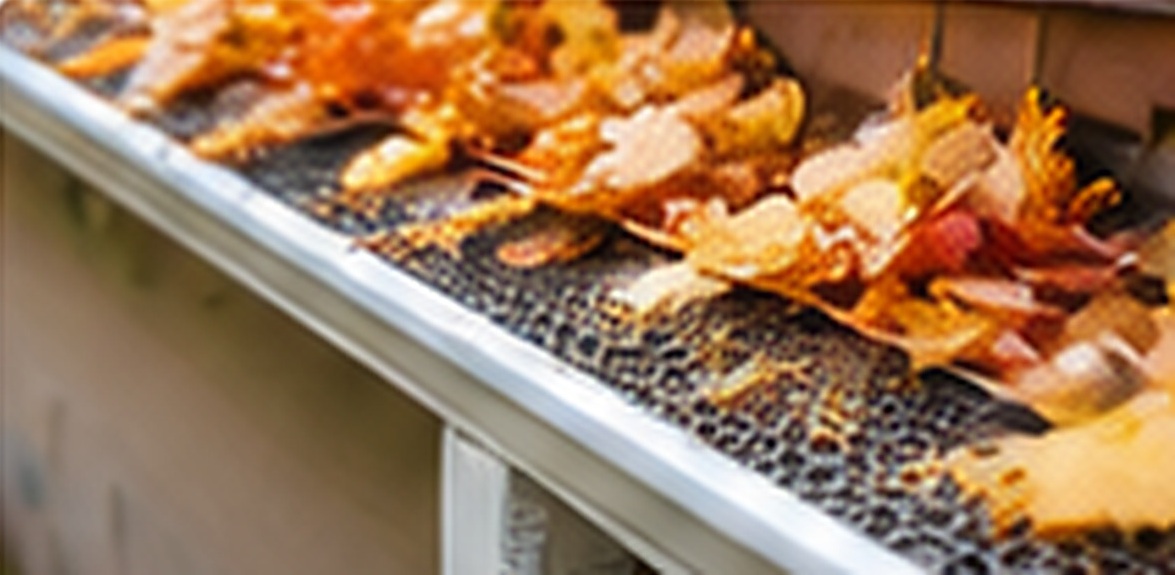 Gutter Guards